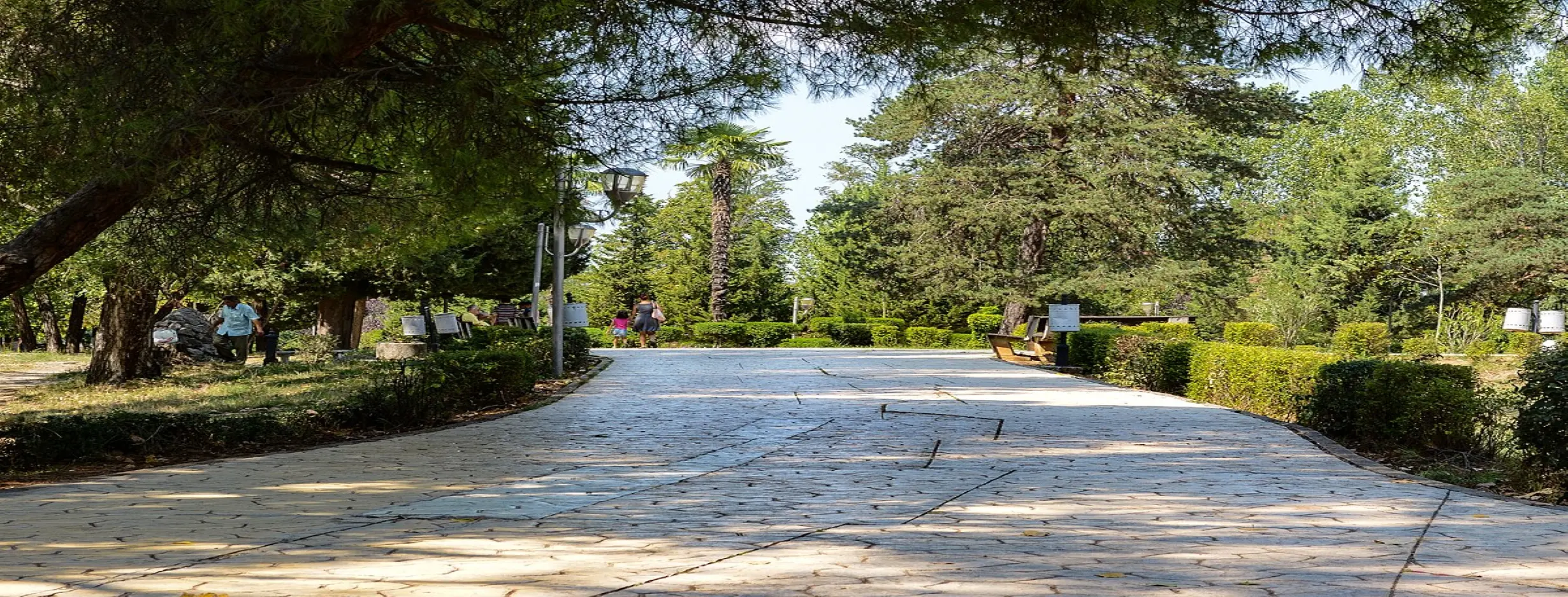 Image for Grand Park of Tirana